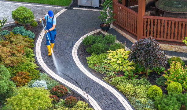Best Roof Pressure Washing  in Miamitown, OH